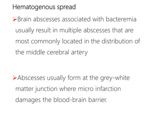 Hematogenous spread
Brain abscesses associated with bacteremia
usually result in multiple abscesses that are
most commonly located in the distribution of
the middle cerebral artery
Abscesses usually form at the grey-white
matter junction where micro infarction
damages the blood-brain barrier.
 