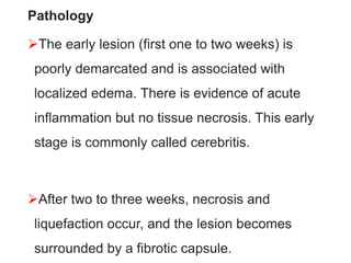 Pathology
The early lesion (first one to two weeks) is
poorly demarcated and is associated with
localized edema. There is evidence of acute
inflammation but no tissue necrosis. This early
stage is commonly called cerebritis.
After two to three weeks, necrosis and
liquefaction occur, and the lesion becomes
surrounded by a fibrotic capsule.
 