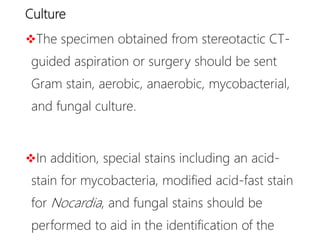 Culture
The specimen obtained from stereotactic CT-
guided aspiration or surgery should be sent
Gram stain, aerobic, anaerobic, mycobacterial,
and fungal culture.
In addition, special stains including an acid-
stain for mycobacteria, modified acid-fast stain
for Nocardia, and fungal stains should be
performed to aid in the identification of the
 
