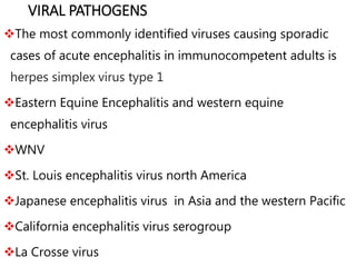 VIRAL PATHOGENS
The most commonly identified viruses causing sporadic
cases of acute encephalitis in immunocompetent adults is
herpes simplex virus type 1
Eastern Equine Encephalitis and western equine
encephalitis virus
WNV
St. Louis encephalitis virus north America
Japanese encephalitis virus in Asia and the western Pacific
California encephalitis virus serogroup
La Crosse virus
 