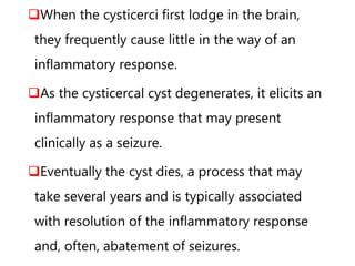 When the cysticerci first lodge in the brain,
they frequently cause little in the way of an
inflammatory response.
As the cysticercal cyst degenerates, it elicits an
inflammatory response that may present
clinically as a seizure.
Eventually the cyst dies, a process that may
take several years and is typically associated
with resolution of the inflammatory response
and, often, abatement of seizures.
 