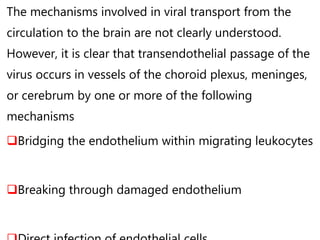 The mechanisms involved in viral transport from the
circulation to the brain are not clearly understood.
However, it is clear that transendothelial passage of the
virus occurs in vessels of the choroid plexus, meninges,
or cerebrum by one or more of the following
mechanisms
Bridging the endothelium within migrating leukocytes
Breaking through damaged endothelium
 
