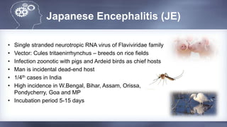 Japanese Encephalitis (JE)
• Single stranded neurotropic RNA virus of Flaviviridae family
• Vector: Cules tritaenirrhynchus – breeds on rice fields
• Infection zoonotic with pigs and Ardeid birds as chief hosts
• Man is incidental dead-end host
• 1/4th cases in India
• High incidence in W.Bengal, Bihar, Assam, Orissa,
Pondycherry, Goa and MP
• Incubation period 5-15 days
 