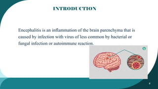 2
INTRODUCTION
Encephalitis is an inflammation of the brain parenchyma that is
caused by infection with virus of less common by bacterial or
fungal infection or autoimmune reaction.
 