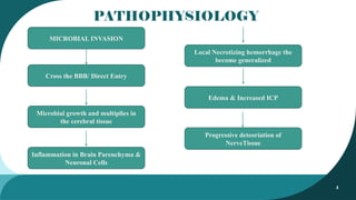 4
PATHOPHYSIOLOGY
MICROBIAL INVASION
Cross the BBB/ Direct Entry
Microbial growth and multiplies in
the cerebral tissue
Inflammation in Brain Parenchyma &
Neuronal Cells
Local Necrotizing hemorrhage the
become generalized
Edema & Increased ICP
Progressive deteoriation of
NerveTissue
 