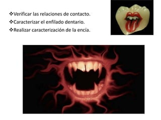 Verificar las relaciones de contacto.
Caracterizar el enfilado dentario.
Realizar caracterización de la encía.
 