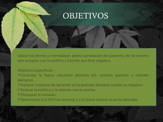 OBJETIVOS
Ubicar los dientes a reemplazar, previa aprobación del paciente, de tal manera
que cumplan con la estética y función que éste requiere.
Objetivos específicos:
Controlar la futura ubicación dentaria (en correcta posición y relación
dentaria).
Generar instancia de variación en la posición dentaria cuando se requiera.
Evaluar la estética y la relación con la sonrisa.
Chequear la oclusión.
Determinar si la DVO es correcta y si el plano oclusal no se ha alterado.
 
