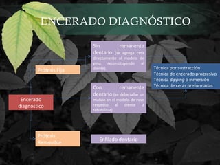 ENCERADO DIAGNÓSTICO
Prótesis
Removible
Encerado
diagnóstico
Enfilado dentario
Sin remanente
dentario (se agrega cera
directamente al modelo de
yeso reconsituyendo al
diente).
Con remanente
dentario (se debe tallar un
muñón en el modelo de yeso
respecto al diente a
rehabilitar)
Prótesis Fija Técnica por sustracción
Técnica de encerado progresivo
Técnica dipping o inmersión
Técnica de ceras preformadas
 