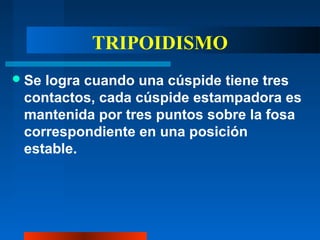 TRIPOIDISMO
Se logra cuando una cúspide tiene tres
contactos, cada cúspide estampadora es
mantenida por tres puntos sobre la fosa
correspondiente en una posición
estable.
 