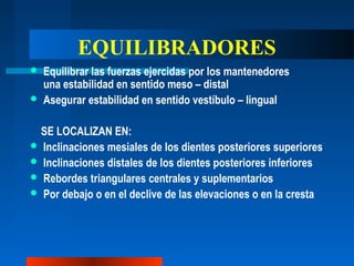 EQUILIBRADORES
 Equilibrar las fuerzas ejercidas por los mantenedores
una estabilidad en sentido meso – distal
 Asegurar estabilidad en sentido vestíbulo – lingual
SE LOCALIZAN EN:
 Inclinaciones mesiales de los dientes posteriores superiores
 Inclinaciones distales de los dientes posteriores inferiores
 Rebordes triangulares centrales y suplementarios
 Por debajo o en el declive de las elevaciones o en la cresta
 