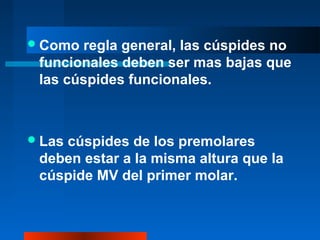 Como regla general, las cúspides no
funcionales deben ser mas bajas que
las cúspides funcionales.
Las cúspides de los premolares
deben estar a la misma altura que la
cúspide MV del primer molar.
 