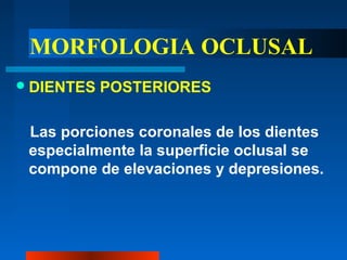 MORFOLOGIA OCLUSAL
DIENTES POSTERIORES
Las porciones coronales de los dientes
especialmente la superficie oclusal se
compone de elevaciones y depresiones.
 