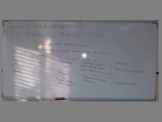 Encerados clase 2º  unidade 4