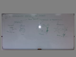 Encerados clase 2º  unidade 4