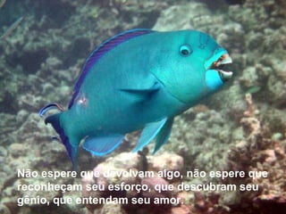 Não espere que devolvam algo, não espere que reconheçam seu esforço, que descubram seu gênio, que entendam seu amor. 