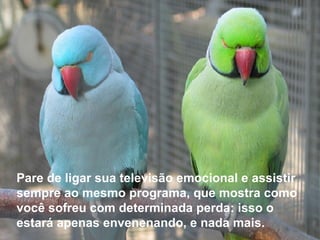 Pare de ligar sua televisão emocional e assistir sempre ao mesmo programa, que mostra como você sofreu com determinada perda: isso o estará apenas envenenando, e nada mais. 