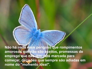 Não há nada mais perigoso que rompimentos amorosos que não são aceitos, promessas de emprego que não têm data marcada para começar, decisões que sempre são adiadas em nome do "momento ideal".   