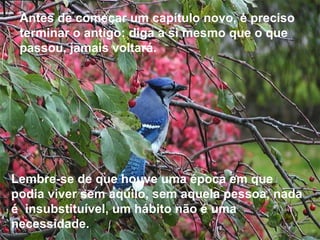 Antes de começar um capítulo novo, é preciso terminar o antigo: diga a si mesmo que o que passou, jamais voltará.   Lembre-se de que houve uma época em que podia viver sem aquilo, sem aquela pessoa, nada é  insubstituível, um hábito não é uma necessidade. 