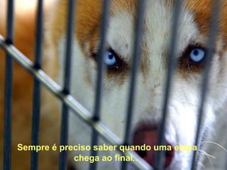 Sempre é preciso saber quando uma etapa chega ao final..   