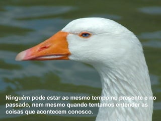 Ninguém pode estar ao mesmo   tempo no presente e no passado, nem mesmo quando tentamos entender as coisas que acontecem conosco . 