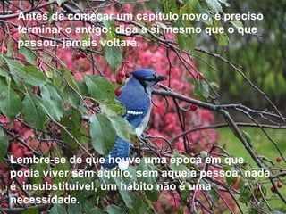 Antes de começar um capítulo novo, é preciso terminar o antigo: diga a si mesmo que o que passou, jamais voltará.   Lembre-se de que houve uma época em que podia viver sem aquilo, sem aquela pessoa, nada é  insubstituível, um hábito não é uma necessidade. 