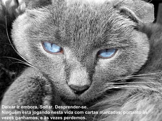 Deixar ir embora. Soltar. Desprender-se. Ninguém está jogando nesta vida com cartas marcadas, portanto às vezes ganhamos, e às vezes perdemos. 