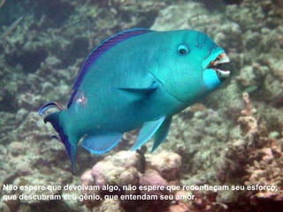 Não espere que devolvam algo, não espere que reconheçam seu esforço, que descubram seu gênio, que entendam seu amor. 