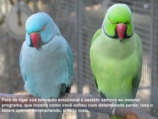Pare de ligar sua televisão emocional e assistir sempre ao mesmo programa, que mostra como você sofreu com determinada perda: isso o estará apenas envenenando, e nada mais. 