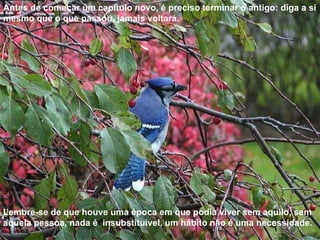 Antes de começar um capítulo novo, é preciso terminar o antigo: diga a si mesmo que o que passou, jamais voltará.  Lembre-se de que houve uma época em que podia viver sem aquilo, sem aquela pessoa, nada é  insubstituível, um hábito não é uma necessidade. 
