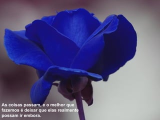 REFLEXAO - Encerrando ciclos por Fernando Pessoa*