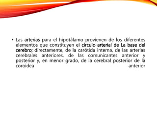 • Las arterias para el hipotálamo provienen de los diferentes
elementos que constituyen el círculo arterial de La base del
cerebro; directamente, de la carótida interna, de las arterias
cerebrales anteriores. de las comunicantes anterior y
posterior y, en menor grado, de la cerebral posterior de la
coroidea anterior
 