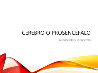 CEREBRO O PROSENCEFALO
Telencefalo y Diencefalo
 