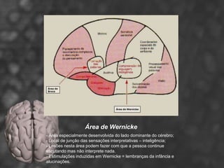 Área de Wernicke
- Área especialmente desenvolvida do lado dominante do cérebro;
- Local de junção das sensações interpretativas – inteligência;
- Lesões nesta área podem fazer com que a pessoa continue
escutando mas não interprete nada.
- Estimulações induzidas em Wernicke = lembranças da infância e
alucinações.
 