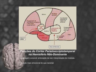 Funções do Córtex Parietoocciptotemporal
     no Hemisfério Não-Dominante
-Linguagem corporal; entonação da voz; interpretação de músicas.
-
- Porção mais emocional do que racional.
 