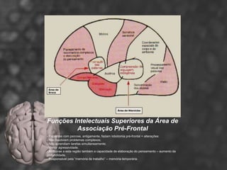 Funções Intelectuais Superiores da Área de
         Associação Pré-Frontal
- Pacientes com psicose, antigamente, faziam lobotomia pré-frontal = alterações:
- Não resolviam problemas complexos;
- Não aprendiam tarefas simultaneamente;
- Menor agressividade.
- Atribui-se a esta região também a capacidade de elaboração do pensamento – aumento da
profundidade.
- Responsável pela “memória de trabalho” – memória temporária.
 