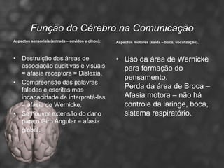 Função do Cérebro na Comunicação
Aspectos sensoriais (entrada – ouvidos e olhos);   Aspectos motores (saída – boca, vocalização).



• Destruição das áreas de                          • Uso da área de Wernicke
  associação auditivas e visuais                     para formação do
  = afasia receptora = Dislexia.
                                                     pensamento.
• Compreensão das palavras
  faladas e escritas mas
                                                     Perda da área de Broca –
  incapacidade de interpretá-las                     Afasia motora – não há
  = afasia de Wernicke.                              controle da laringe, boca,
• Se houver extensão do dano                         sistema respiratório.
  para o Giro Angular = afasia
  global.
 