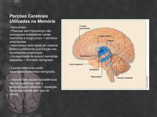 Porções Cerebrais
Utilizadas na Memória
-Hipocampo.
- Pessoas sem hipocampo não
conseguem estabelecer novas
memórias a longo prazo = amnésia
anterógrada.
- Hipocampo esta ligado ao sistema
límbico justificando sua função nas
recordações prazerosas.
- Incapacidade de evocar memórias
passadas = Amnésia retrógrada.

- Lesões talâmicas estão
associadas a amnésia retrógrada.

- Mesmo com lesões hipotalâmicas
não há problemas com a
aprendizagem reflexiva = repetição
física das tarefas sem uso da
mente.
 