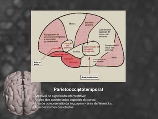 Área de Associação




              Parietoocciptotemporal
- Alto nível de significado interpretativo;
- Análise das coordenadas espaciais do corpo;
- Área de compreensão da linguagem = área de Wernicke;
- Área dos nomes dos objetos.
 