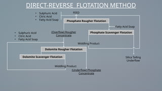 Reversing Rougher Benefication of low-grade phosphate in South Africa | PPTX