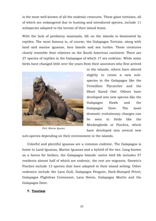 is the most well-known of all the endemic creatures. These giant tortoises, all
of which are endangered due to hunting and introduced species, include 11
subspecies adapted to the terrain of their island home.
With the lack of predatory mammals, life on the islands is dominated by
reptiles. The most famous is, of course, the Galapagos Tortoise, along with
land and marine iguanas, lava lizards and sea turtles. These creatures
closely resemble their relatives on the South American continent. There are
27 species of reptiles in the Galapagos of which 17 are endemic. While some
birds have changed little over the years from their ancestors who first arrived
in the islands, others have altered
slightly

to

create

a

new

sub-

species in the Galapagos like the
Vermillion

Flycatcher

and

the

Short Eared Owl. Others have
developed into new species like the
Galapagos

Hawk

Galapagos

Dove.

and
The

the
most

dramatic evolutionary changes can
be

seen

in

birds

like

the

Mockingbirds or Finches, which
Pic8. Marine Iguana

have developed into several new

sub-species depending on their environment in the islands.
Colorful and plentiful iguanas are a common endemic. The Galapagos is
home to Land Iguanas, Marine Iguanas and a hybrid of the two. Long known
as a haven for birders, the Galapagos Islands' native bird life includes 57
residents almost half of which are endemic, the rest are migrants. Darwin's
Finches include 13 species that have adapted to their island setting. Other
endemics include the Lava Gull, Galapagos Penguin, Dark-Rumped Petrel,
Galapagos Flightless Cormorant, Lava Heron, Galapagos Martin and the
Galapagos Dove.
7. Tourism

15

 