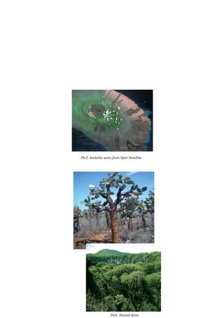 Pic3. Isabella seen from Spot Satellite

Pic5. Opuntiaechios: botanical
endemic species

23

Pic6. Humid Zone

 