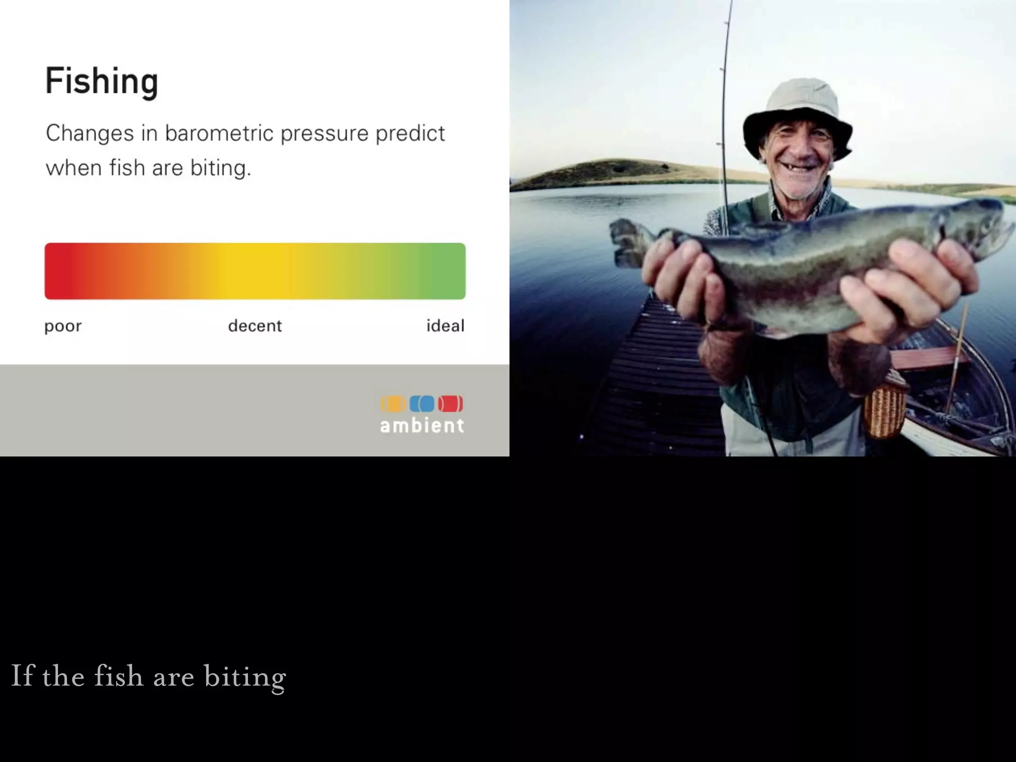 Fishing




If the fish are biting
 