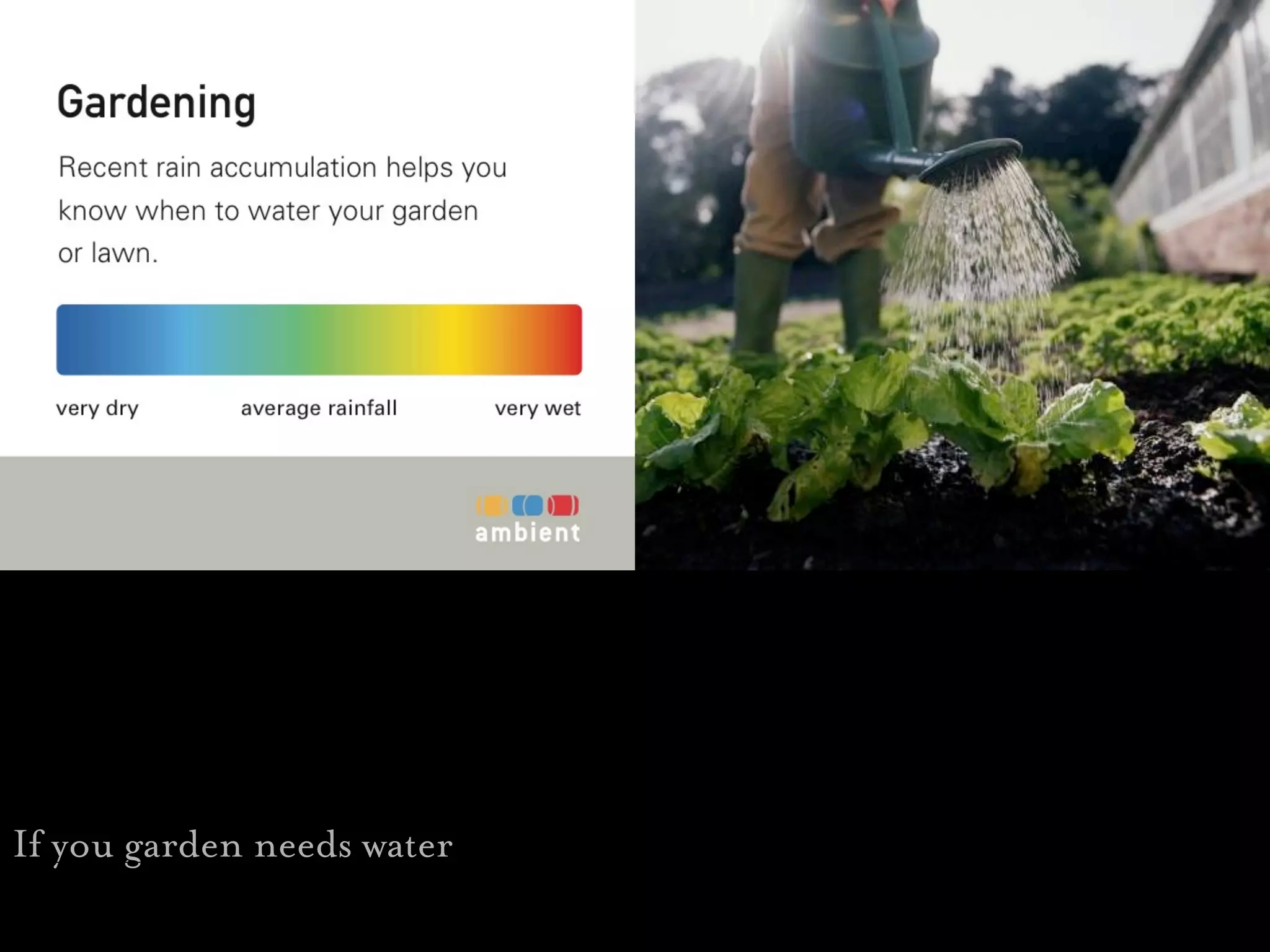 Fishing




If you garden needs water
 