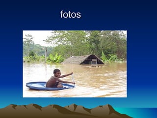 fotos 