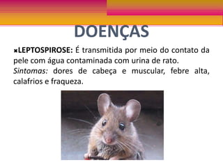 Provocar engarrafamentos no trânsito;