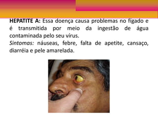 Perdas na lavoura e pecuária;