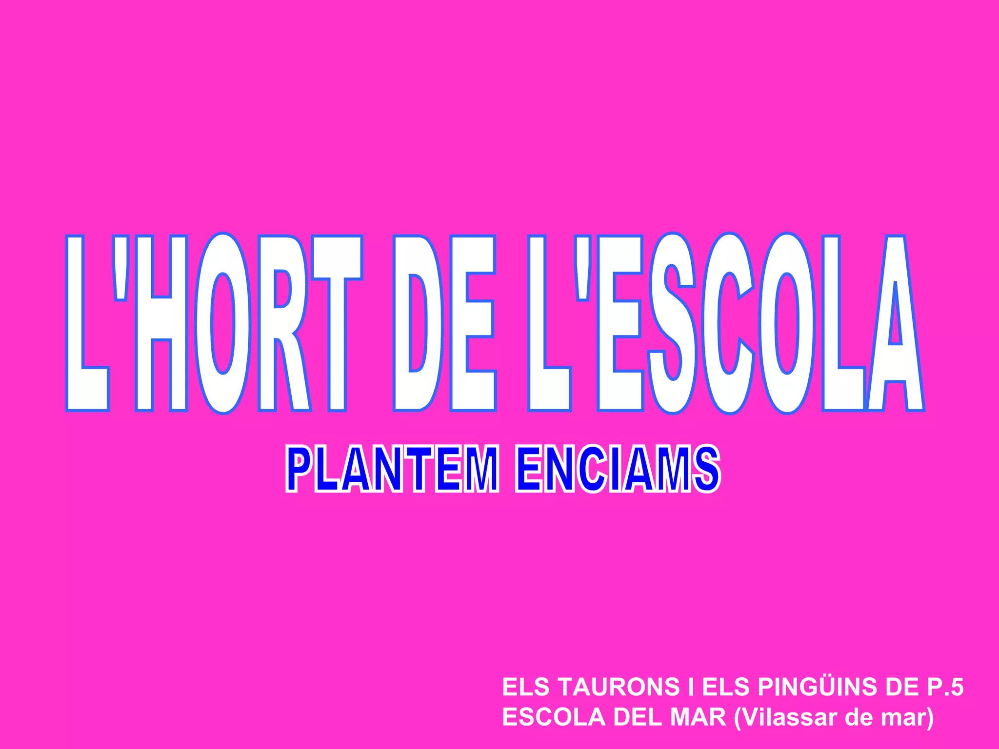 ELS TAURONS I ELS PINGÜINS DE P.5
ESCOLA DEL MAR (Vilassar de mar)