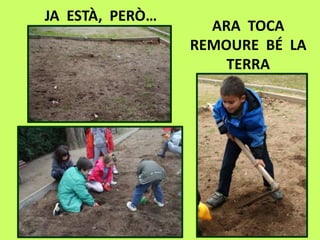 JA ESTÀ, PERÒ…
ARA TOCA
REMOURE BÉ LA
TERRA