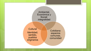 Ambiental,
Económica y
Social:
integralidad
Cotidiana:
espacios
comunes,
comunidad
Cultural
Identidad;
sentido,
pueblos
originarios
 