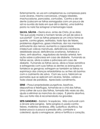 Externamente, se usa em cataplasmas ou compressas para
curar úlceras, mesmo cancerosas, chagas rebeldes,
machucaduras, pancadas, contusões. Contra a dor de
dente (colocam-se folhas esmagadas com um pouco de
sal no ouvido do lado em que dói o dente), uma bolinha
posta no nariz faz estagnar a hemorragia nasal.

SALVA, SÁLVIA – Desta erva, antes de Cristo, já se dizia:
"De que pode morrer o homem tendo um pé de salva à
sua porta?" Com as folhas prepara-se um chá e toma-se
quente, contra gripes, resfriados, todo tipo de febres,
problemas digestivos, gases intestinais, dor nos membros;
estimulante dos nervos; aumenta a capacidade
intelectual; cólicas menstruais, deficiências cardíacas,
debilidade sexual, deficiências ovarianas, fortalece o
útero, anti-abortiva , reguladora da tensão arterial, tem
ação sobre o pâncreas em caso de diabete. Fumando as
folhas secas, alivia a sobre o pâncreas em caso de
diabete. Fumando as folhas secas, alivia a tosse asmática
e esfregando com suas folhas os dentes os branqueia e
fortalece as gengivas; esfregam-se também as folhas no
espinhaço das crianças retardatárias ou se lhes dá banhos
com o cozimento de salva. Com seu suco, fabricam-se
pomadas que se aplicam em úlceras, feridas, varizes e
toda classe de paralisias. Apreciado condimento.

SENE – Possui propriedades purgativas, laxativas,
depurativas e febrífugas, tomando-se o chá das folhas.
Uma colher de suco das folhas, tomada três vezes ao dia,
ajuda a eliminar as manchas do corpo. É planta abortiva.
Seu uso forte não é recomendado na gravidez.

SETE-SANGRIAS – Existem 14 espécies. Não confundir com
a árvore sete-sangrias. Sete-sangrias é usada contra
febres, moléstias venéreas, sífilis; sudorífica; diurética, faz
baixar pouco a pouco a pressão alta, combate o
colesterol, ajuda a emagrecer, alivia e fortifica o coração,
 